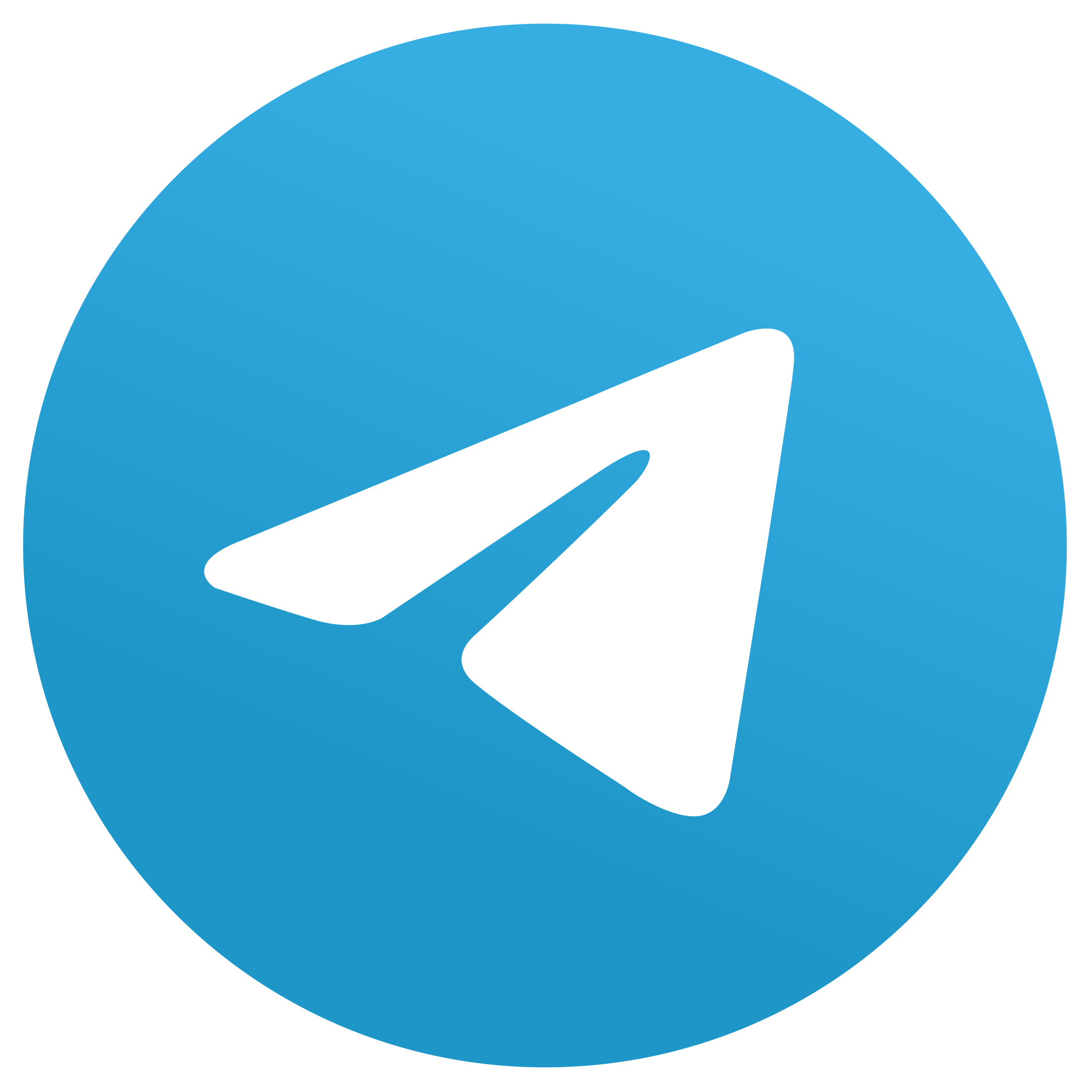 Telegram Logo